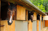 free Whisterfield stable construction quotes